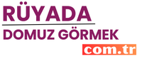 ruyadadomuzgormek.com.tr